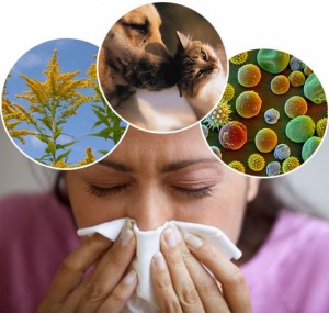 Аллергия. Вопросы и ответы